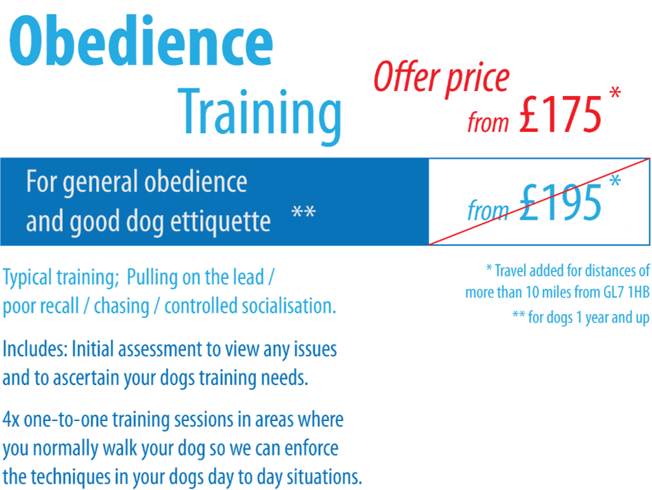 YES! Dog Behaviour Training Gloucestershire, Oxfordshire & Wiltshire