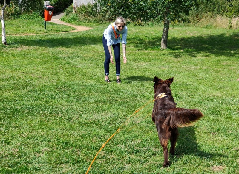 YES! Dog Behaviour Training | Gloucestershire, Oxfordshire & Wiltshire